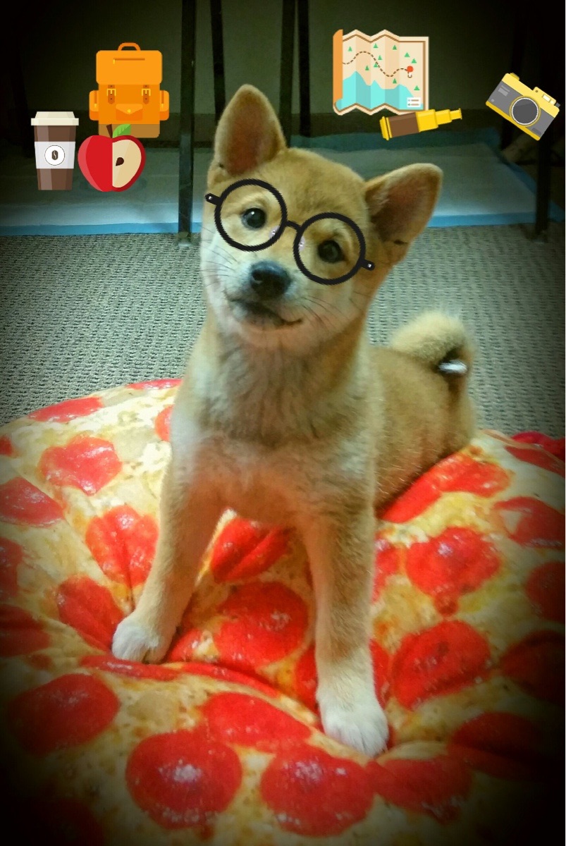 戈贝尔内线核爆统治攻防，奥兰多魔术跨界淘汰赛力克深圳队