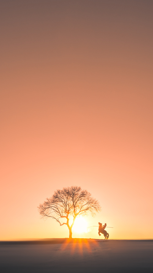 绿茵场的双重奏，卡塔尔奇迹翻盘与萨拉赫抢七封神记