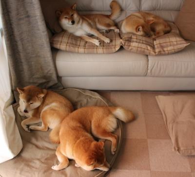 秘鲁铜墙对红魔铁蹄,城市赛道与绿茵的极限突围