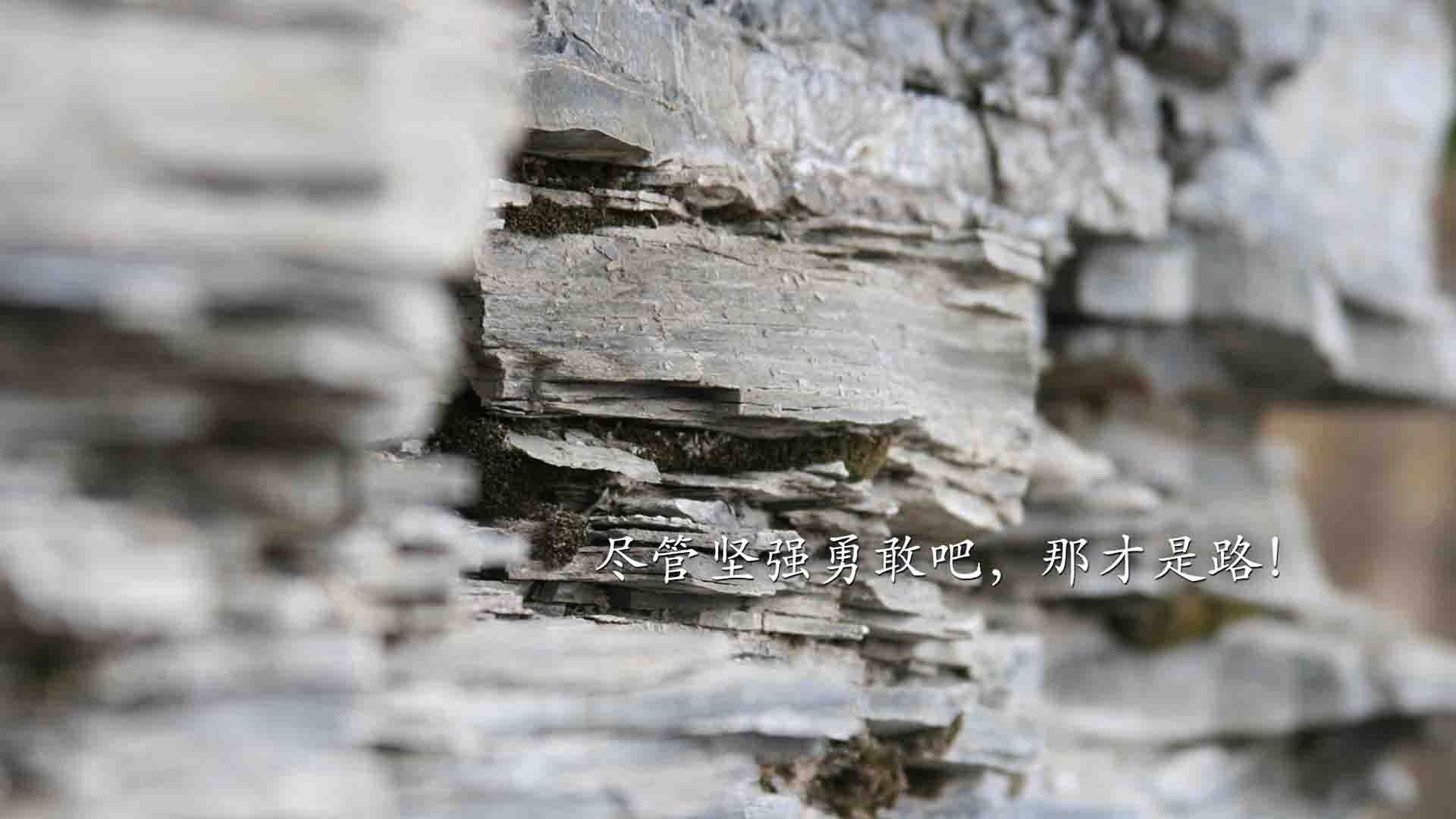 戈贝尔定律,当勇士的浪潮撞上爵士的铜墙,关键回合他为何从不手软?