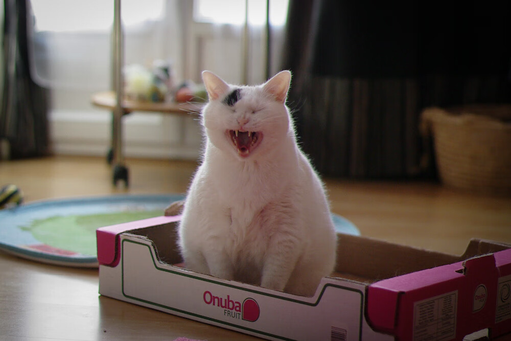 掘金高原洪流冲垮鹈鹕防线,小贾伦·杰克逊何以成为破局关键先生?