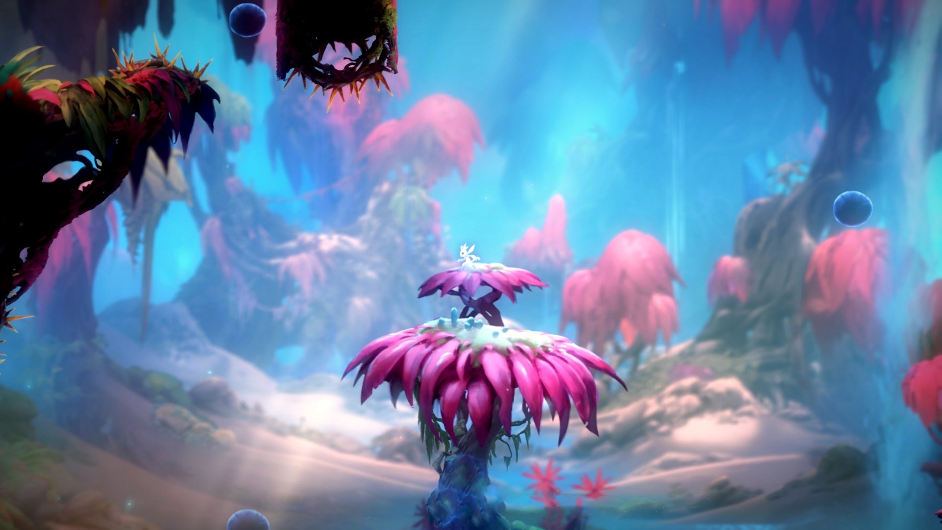 唯一性，比利时如何用极致战术终结悬念，加克波成为破局者