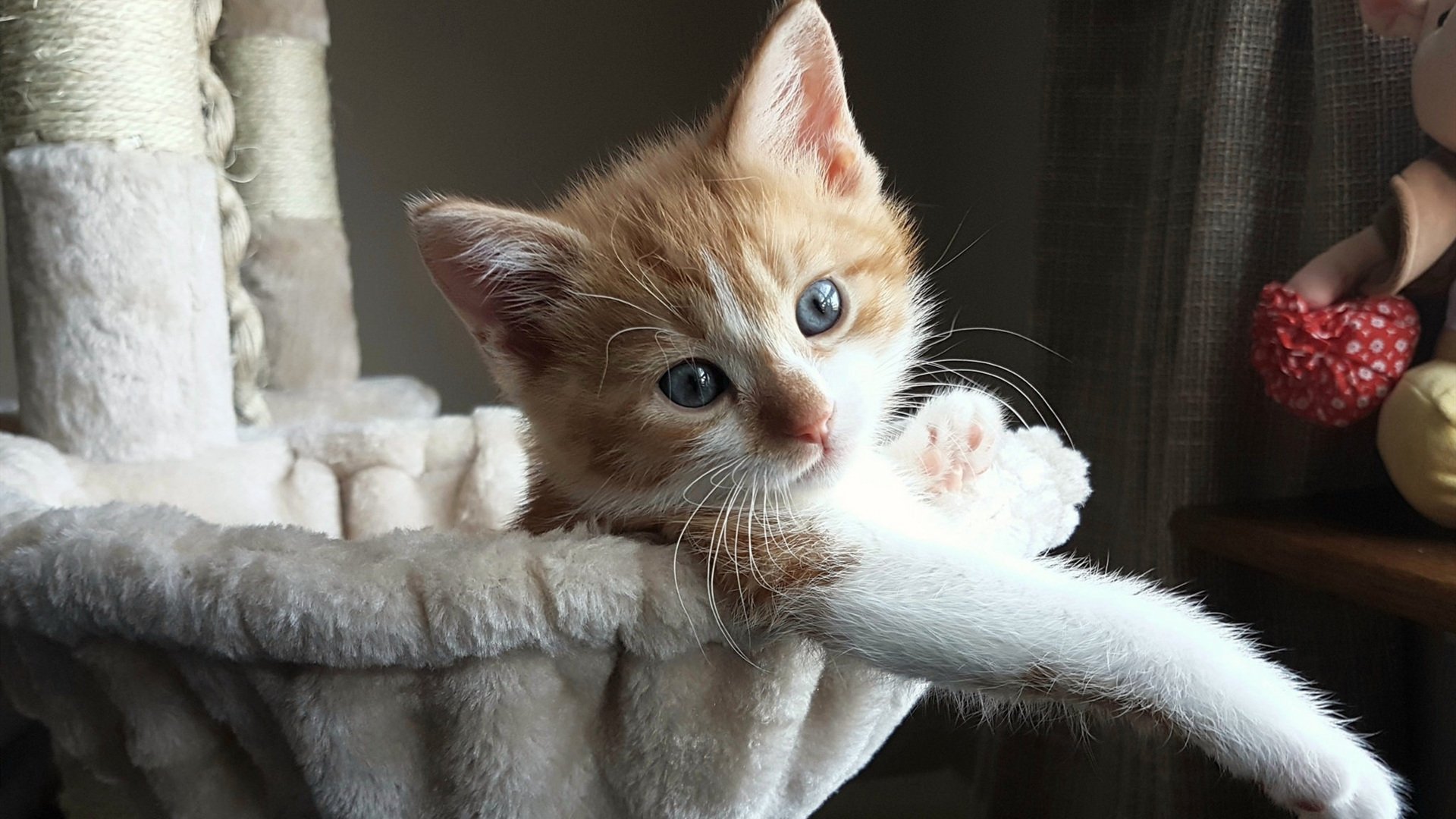 独家|零下五度的绝杀心脏,霍勒迪冰封新疆之夜