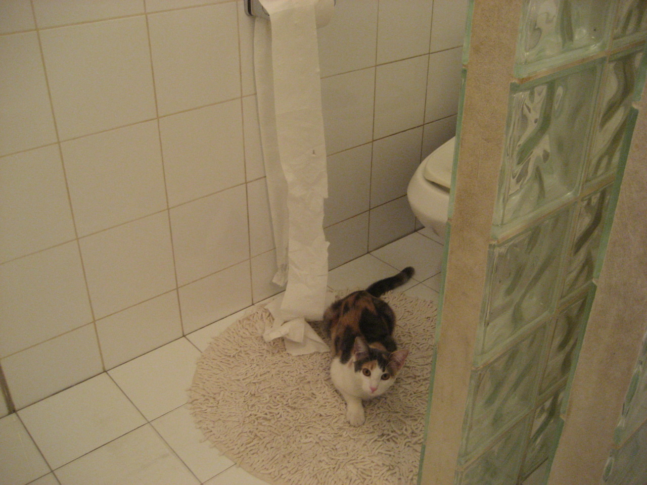 足球智慧的降维打击，从国米锁死洪都拉斯，到三笘薰在美加墨接管比赛