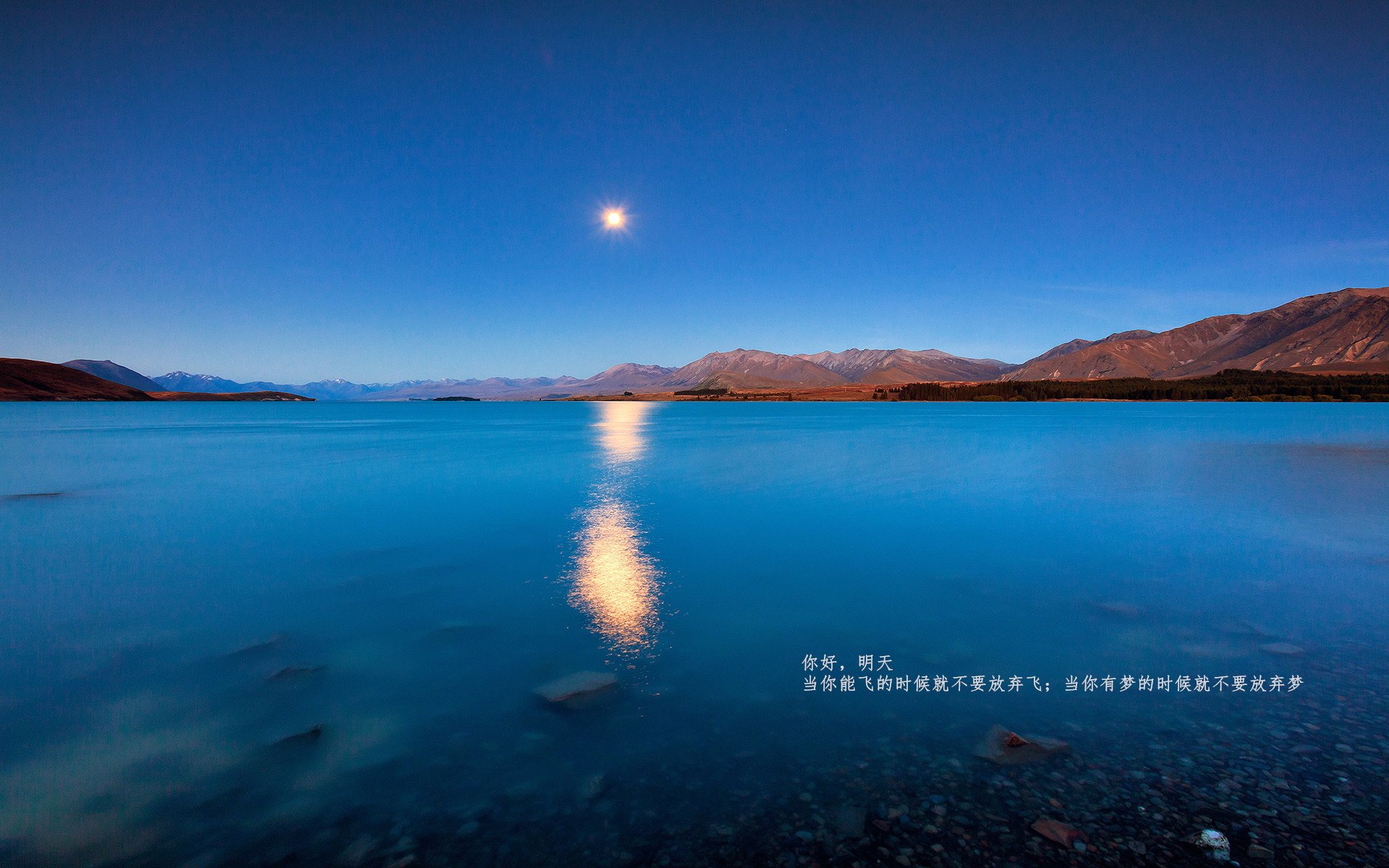 德甲式决战CBA，北京首钢提前四轮终结辽宁卫冕悬念