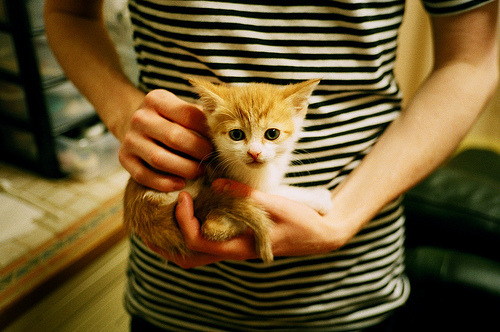 量子球馆，库里的三分雨浇灭广东反扑，马刺惊险守擂